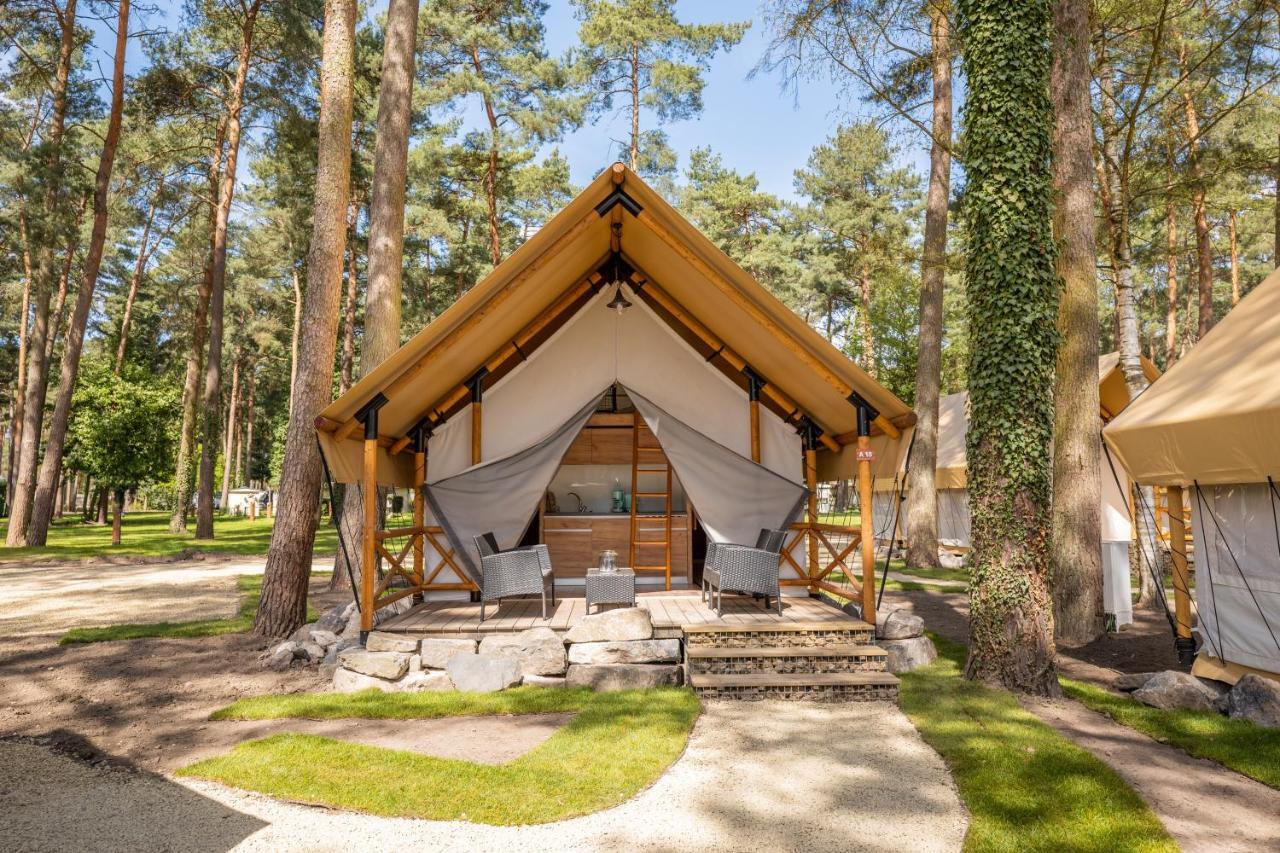 Europarcs Hoge Kempen ズテンダール 部屋 写真